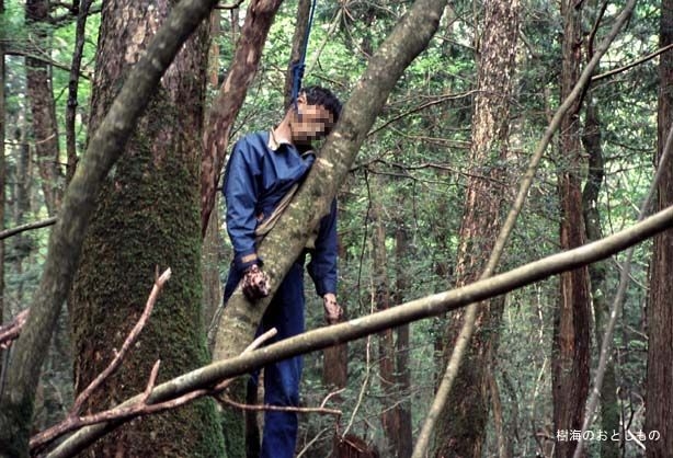 Аокигахара Дзюкай (Aokigahara Jukai / 青木ヶ原樹海)