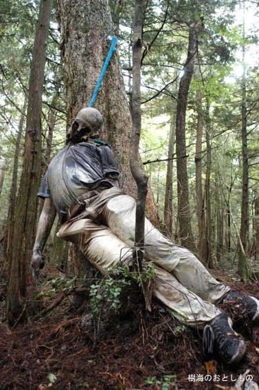 Аокигахара Дзюкай (Aokigahara Jukai / 青木ヶ原樹海)